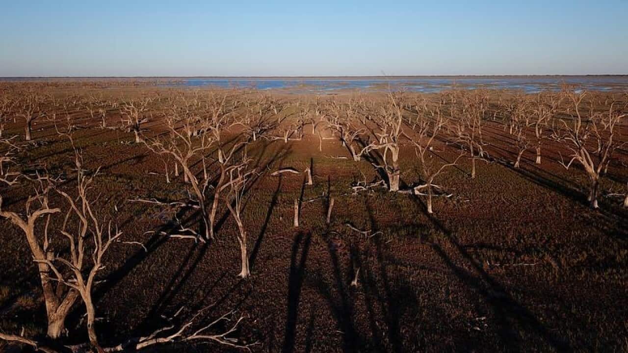 NSW IN DROUGHT