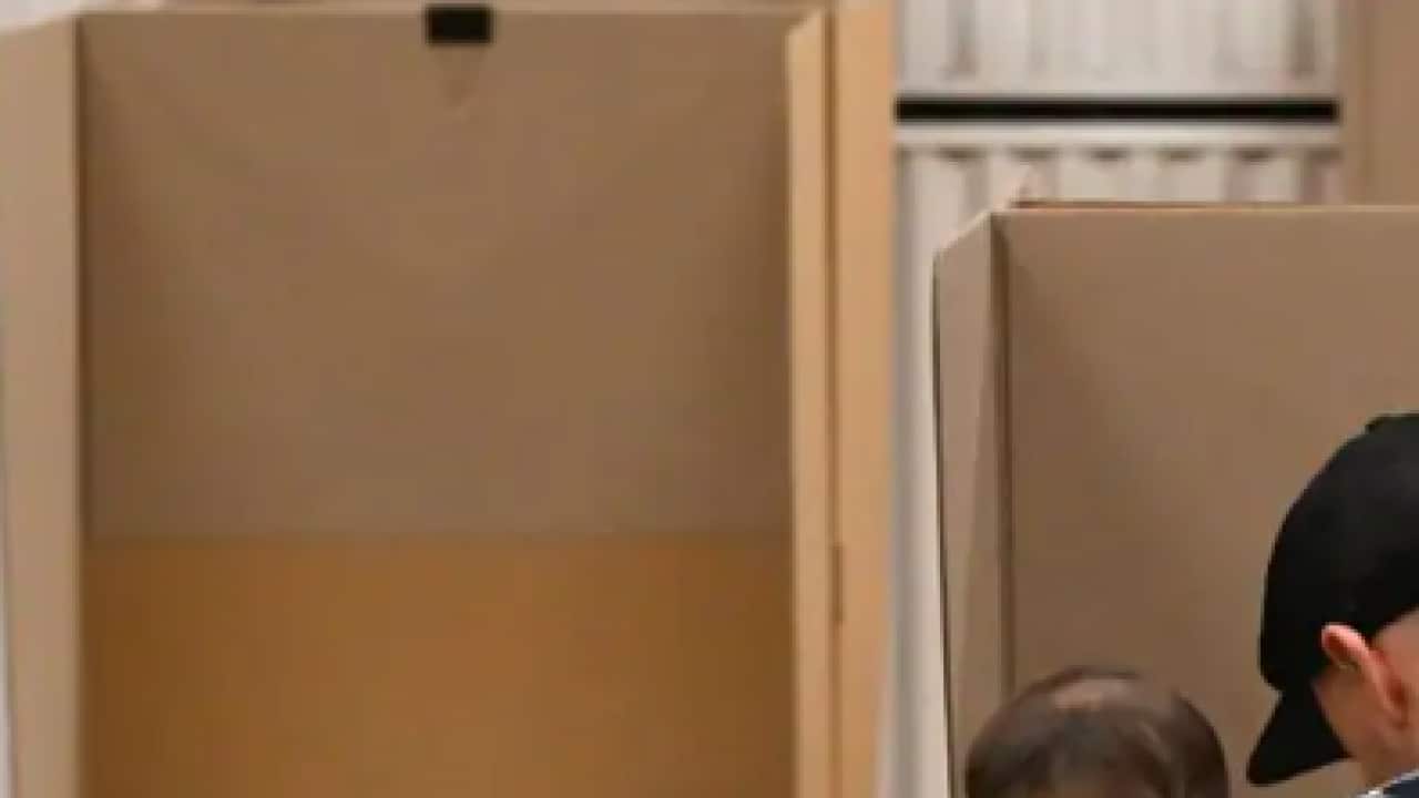 Hundreds of thousands of votes cast at this year's federal election were deemed informal and did not count towards the final result.