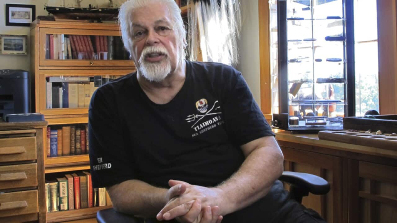 Paul Watson, founder of the Sea Shepherd Conservation Society