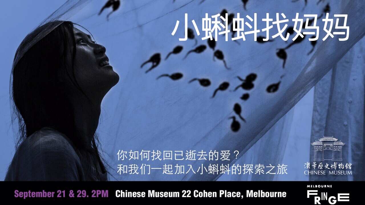 Little Tadpoles Looking for Mama