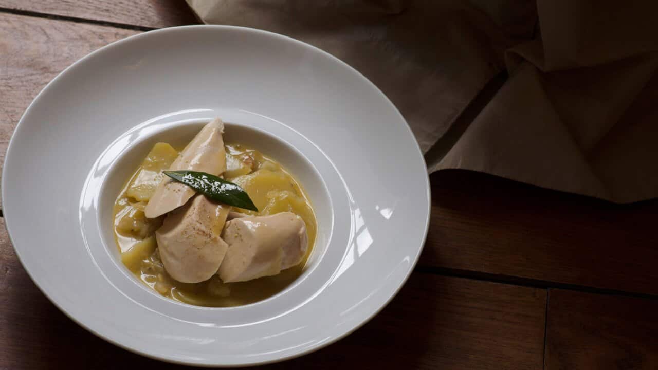 Bresse chicken in yellow wine