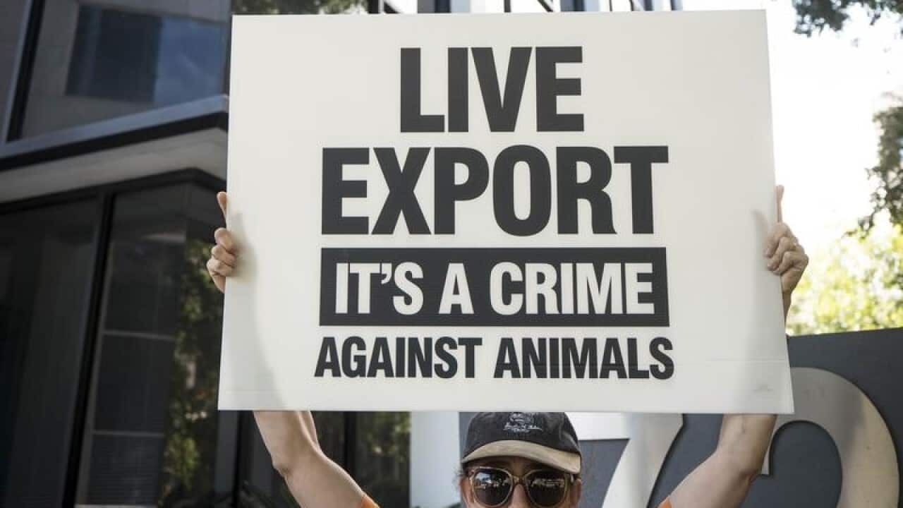A protest against live exports.