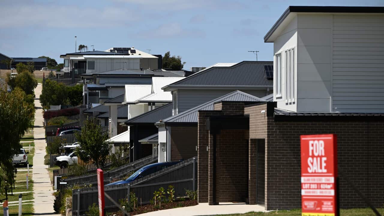 Image for read more article '更多內容'