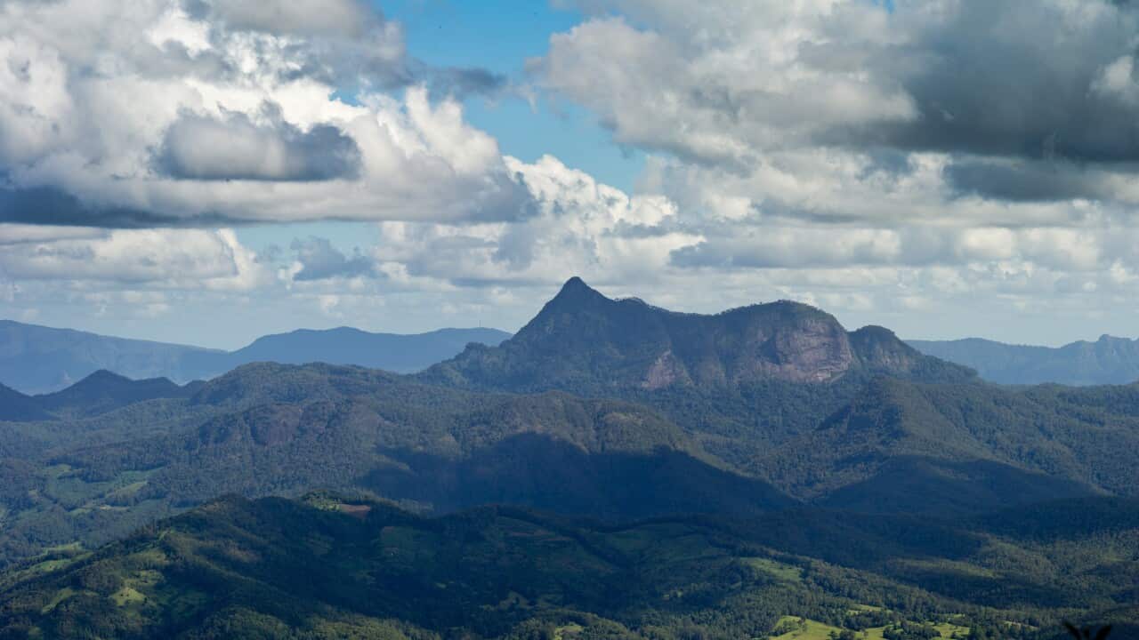 An extreme wide shot of the rolling valleys of Wollumbin national park climbing upwards towards the highest peak of Wollumbin (aka Mt Warning).