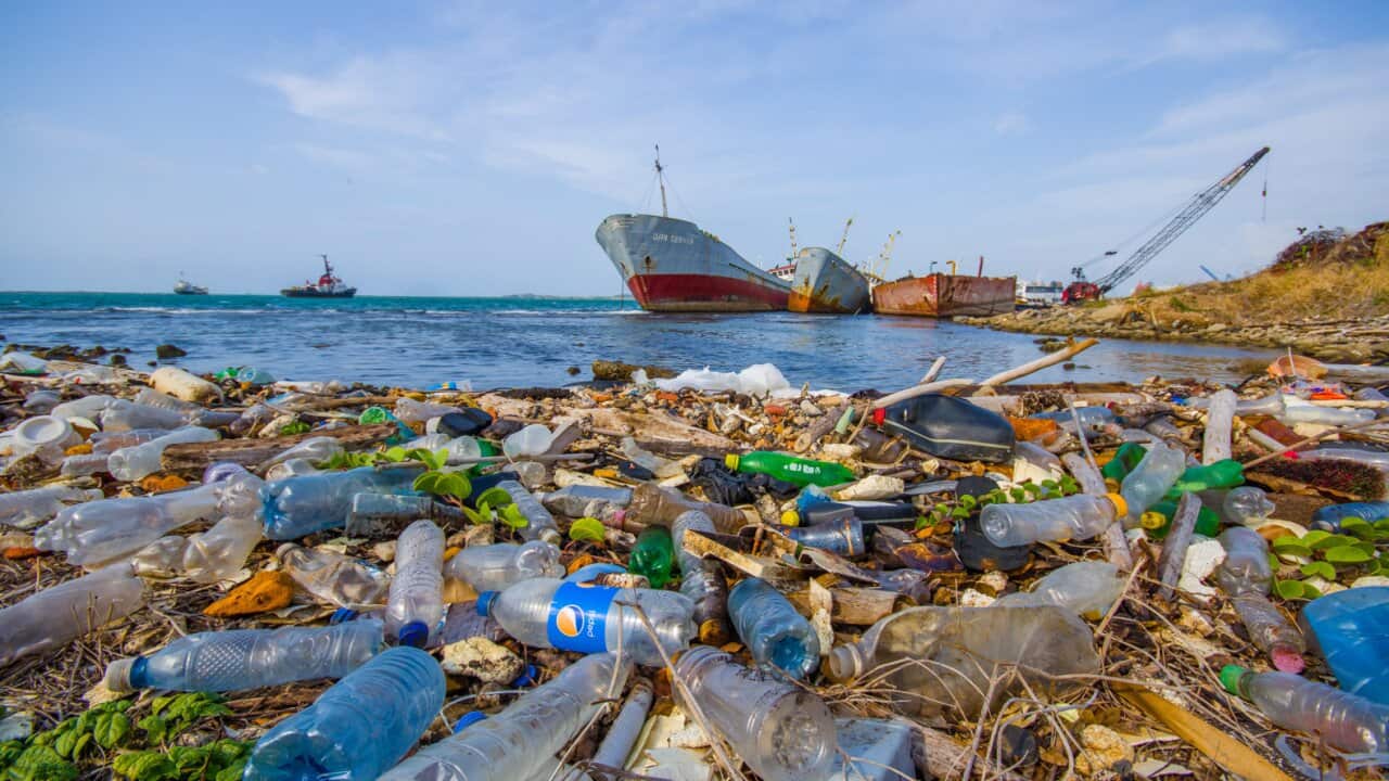 plastics in the ocean