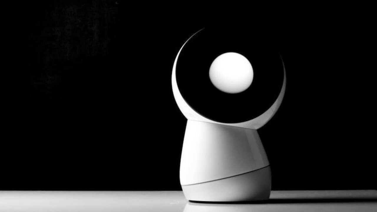 Jibo