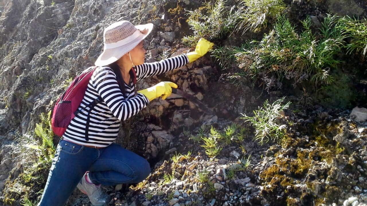 Image for read more article 'READ MORE'