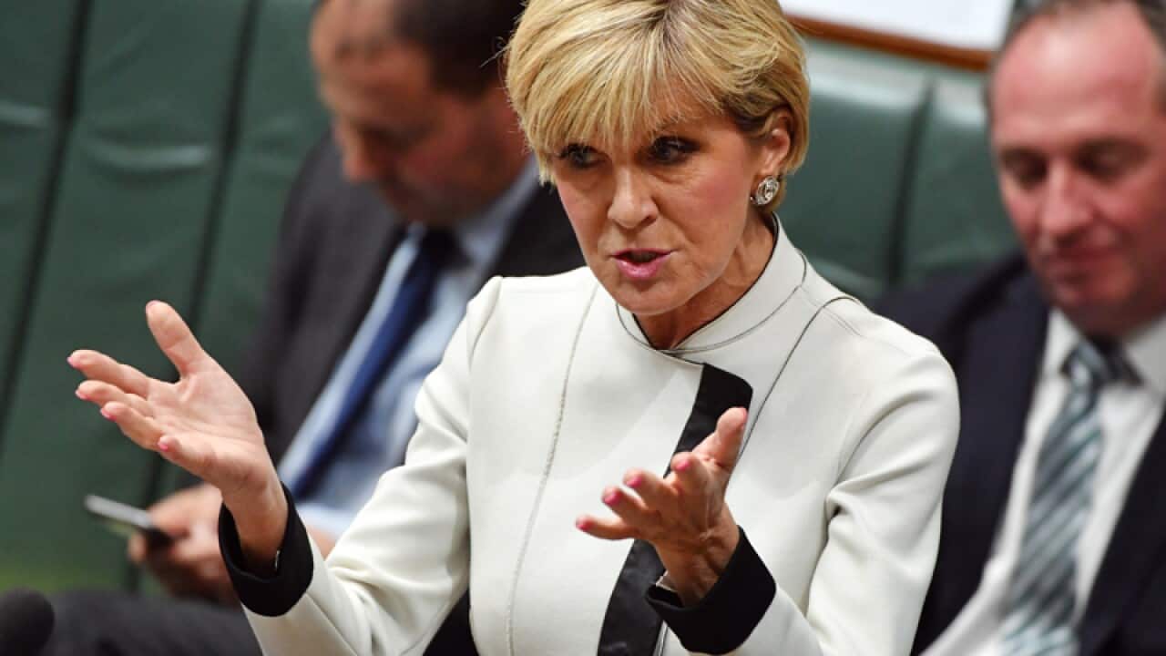 Foreign Minister Julie Bishop