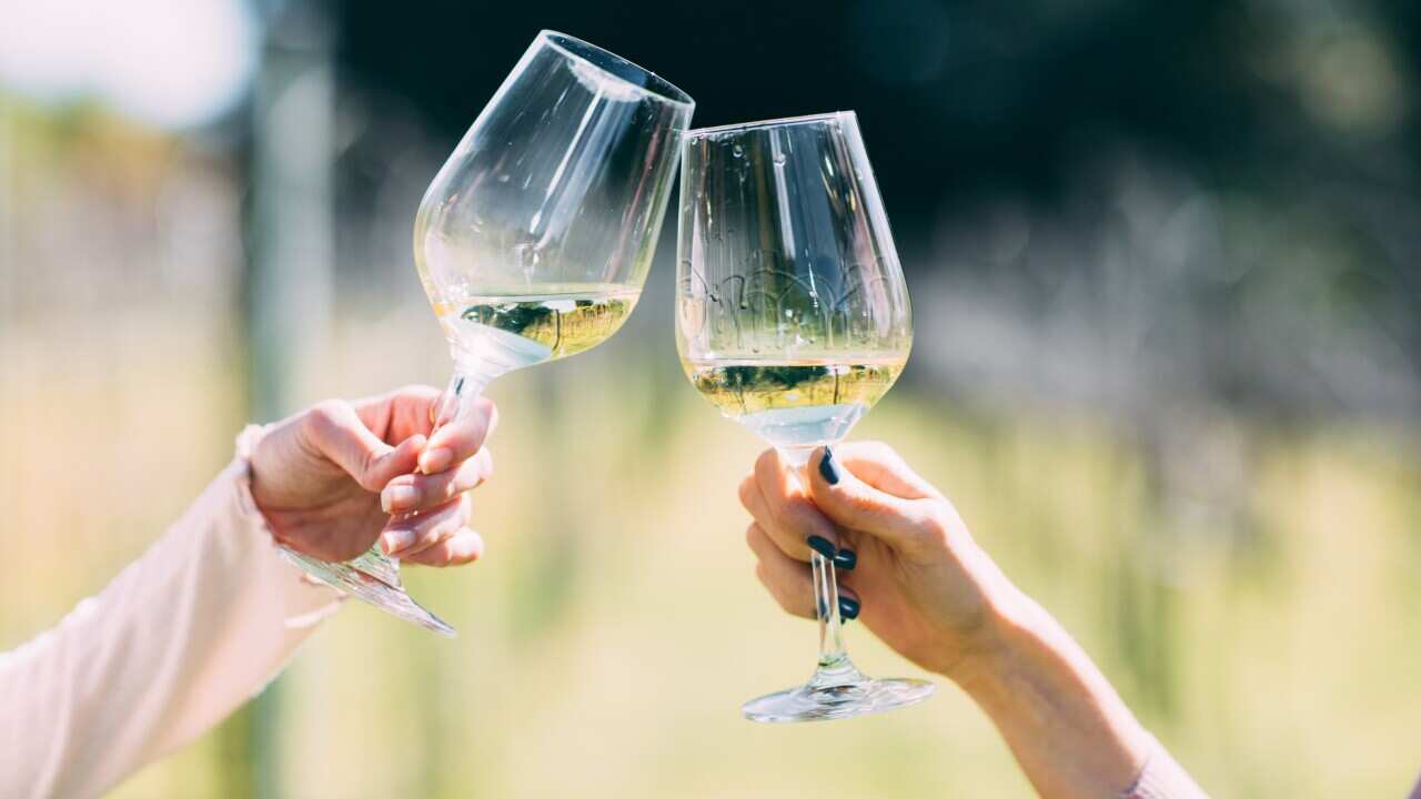 A supplied stock image of people toasting wine glasses at Witches Falls Winery in North Tamborine. (AAP Image/Supplied by Destination Gold Coast) NO ARCHIVING, EDITORIAL USE ONLY