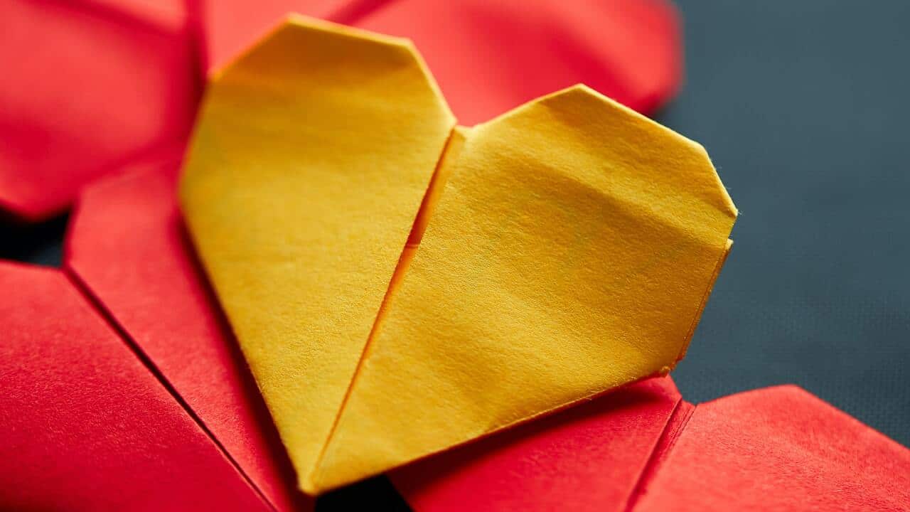 Photo by Dirk Ribbler on Unsplash