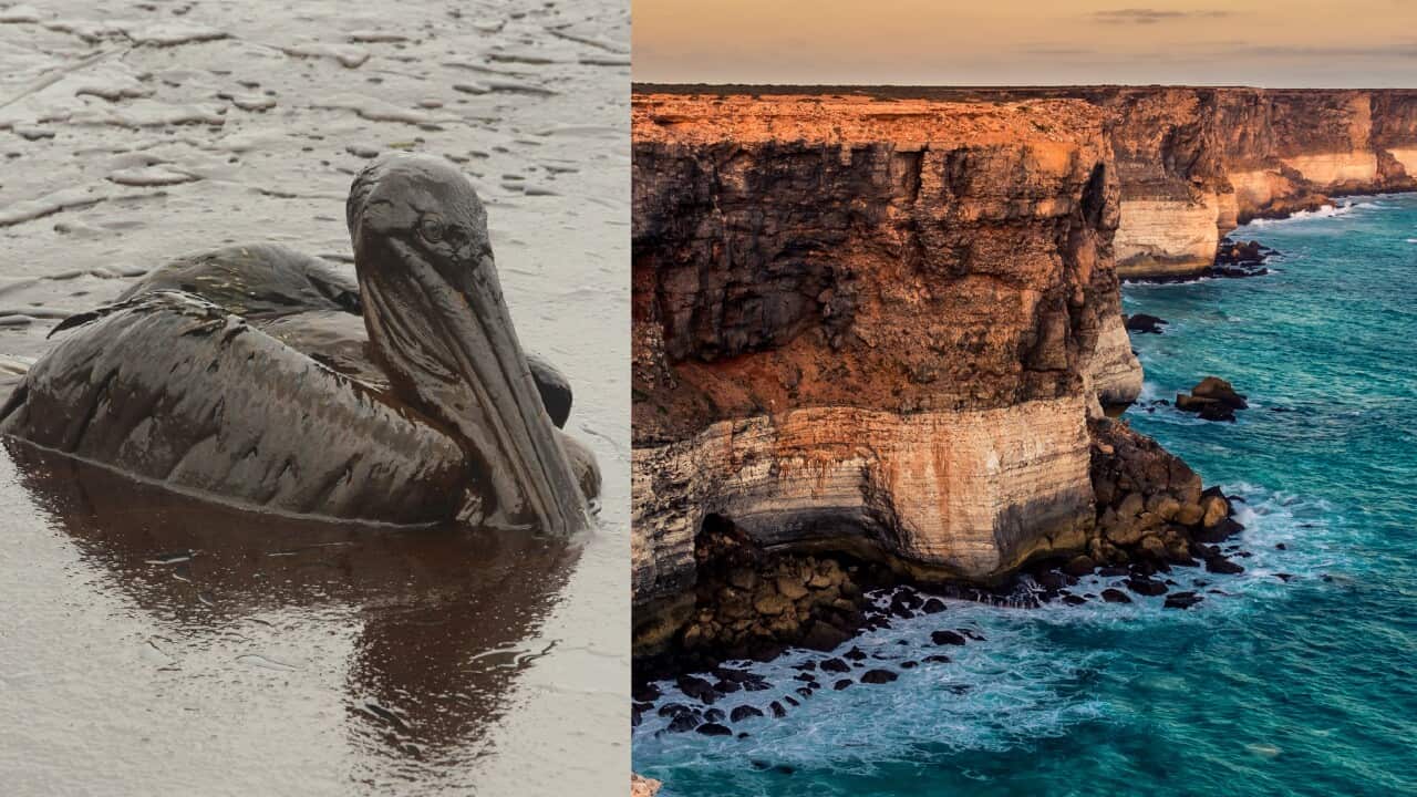 Environmental groups are alarmed about the prospect of drilling at the Great Australian Bight.
