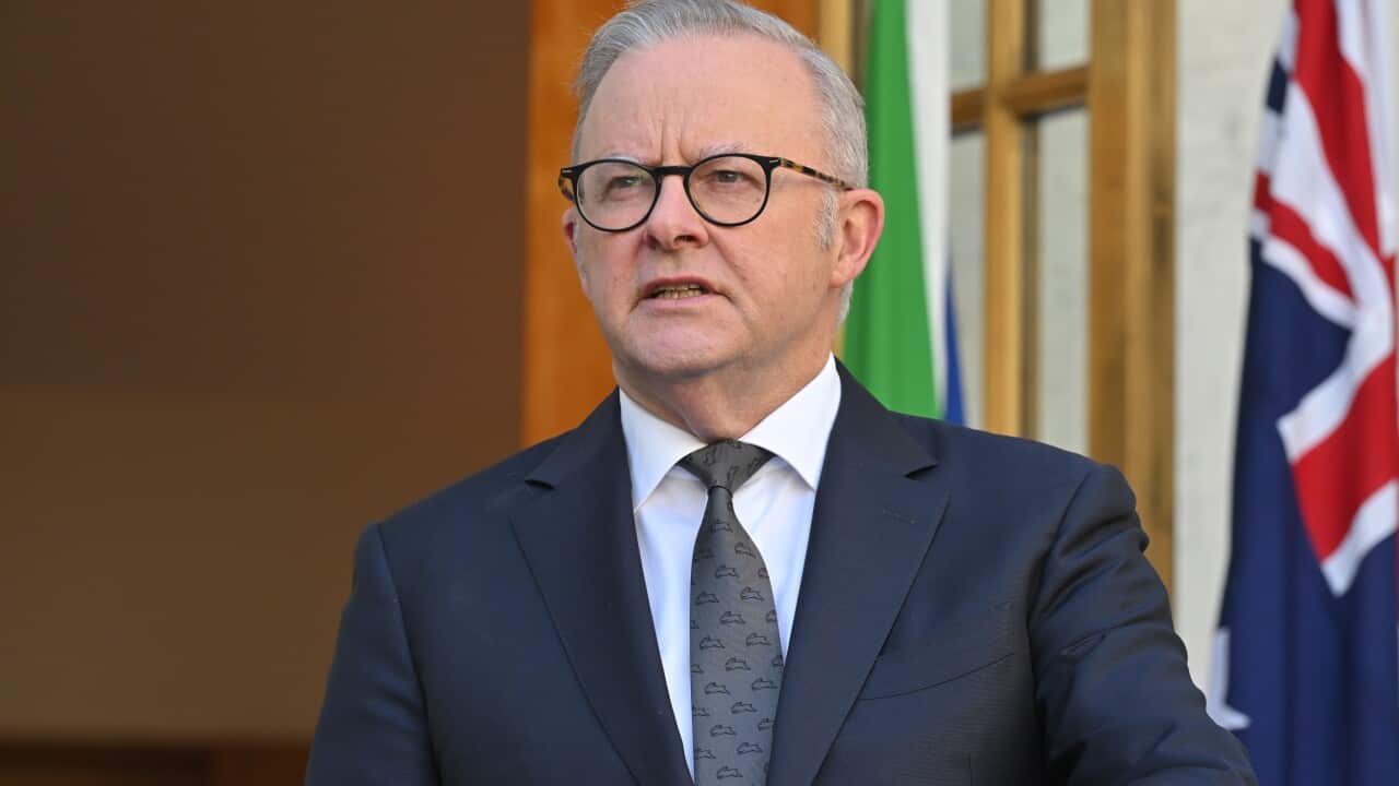 ANTHONY ALBANESE PRESSER