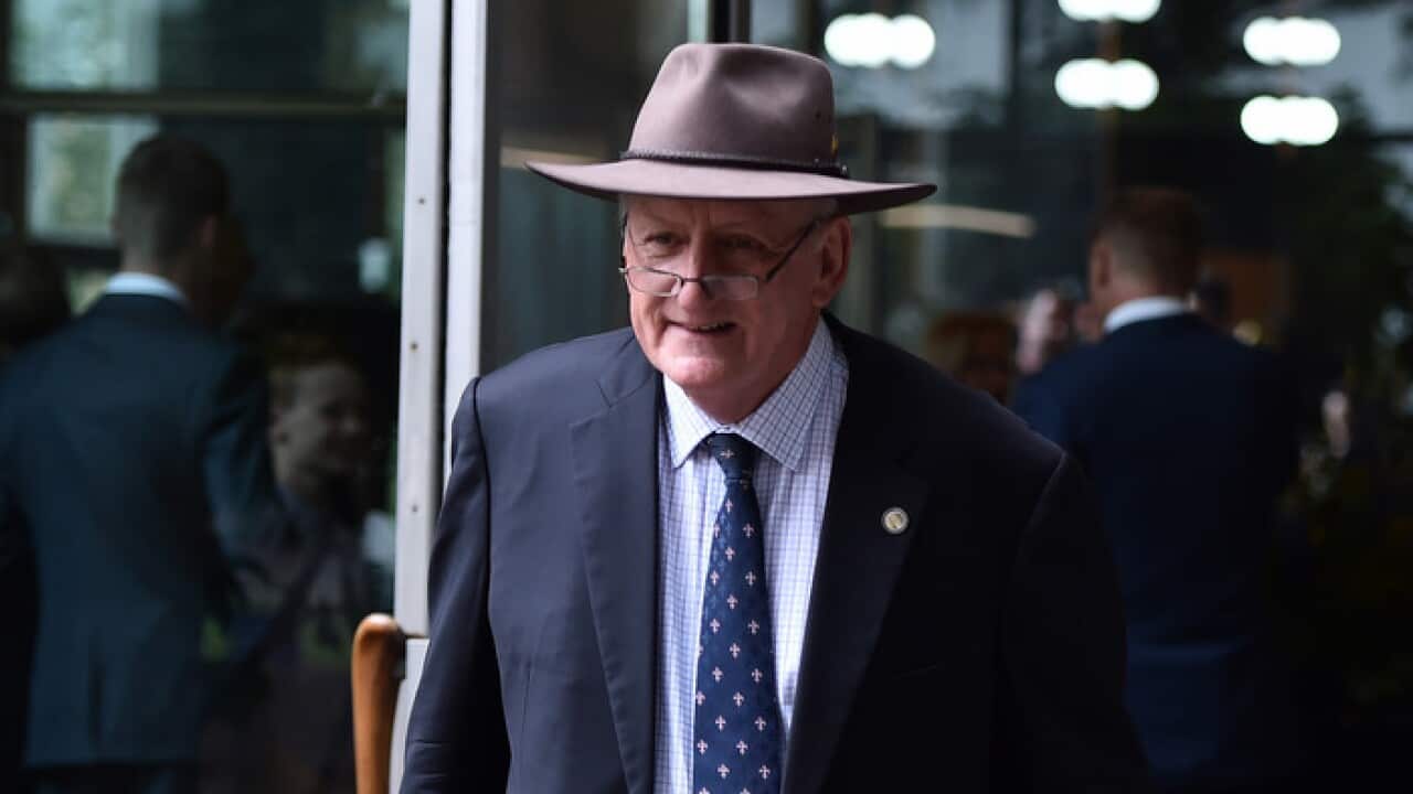 Former Nationals leader Tim Fischer