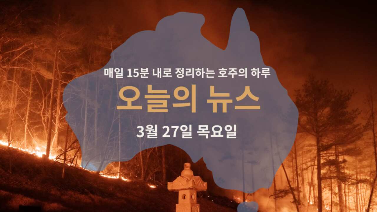 250325 (4).png