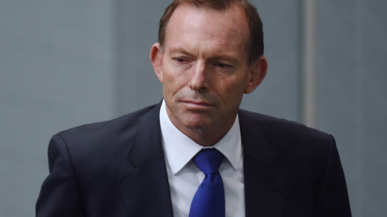 Liberal MP Tony Abbott