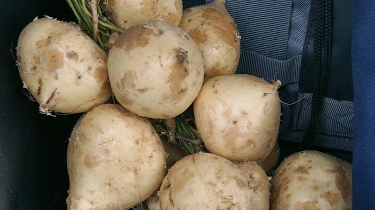 Image for read more article ''