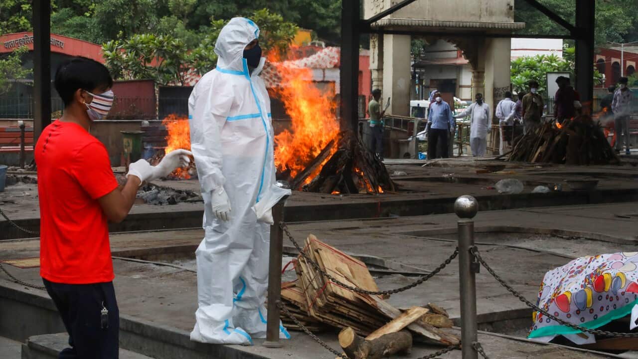 SBS India Covid Appeal