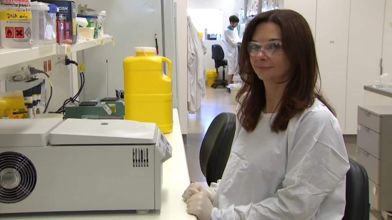 Professor Katherine Kedzierska