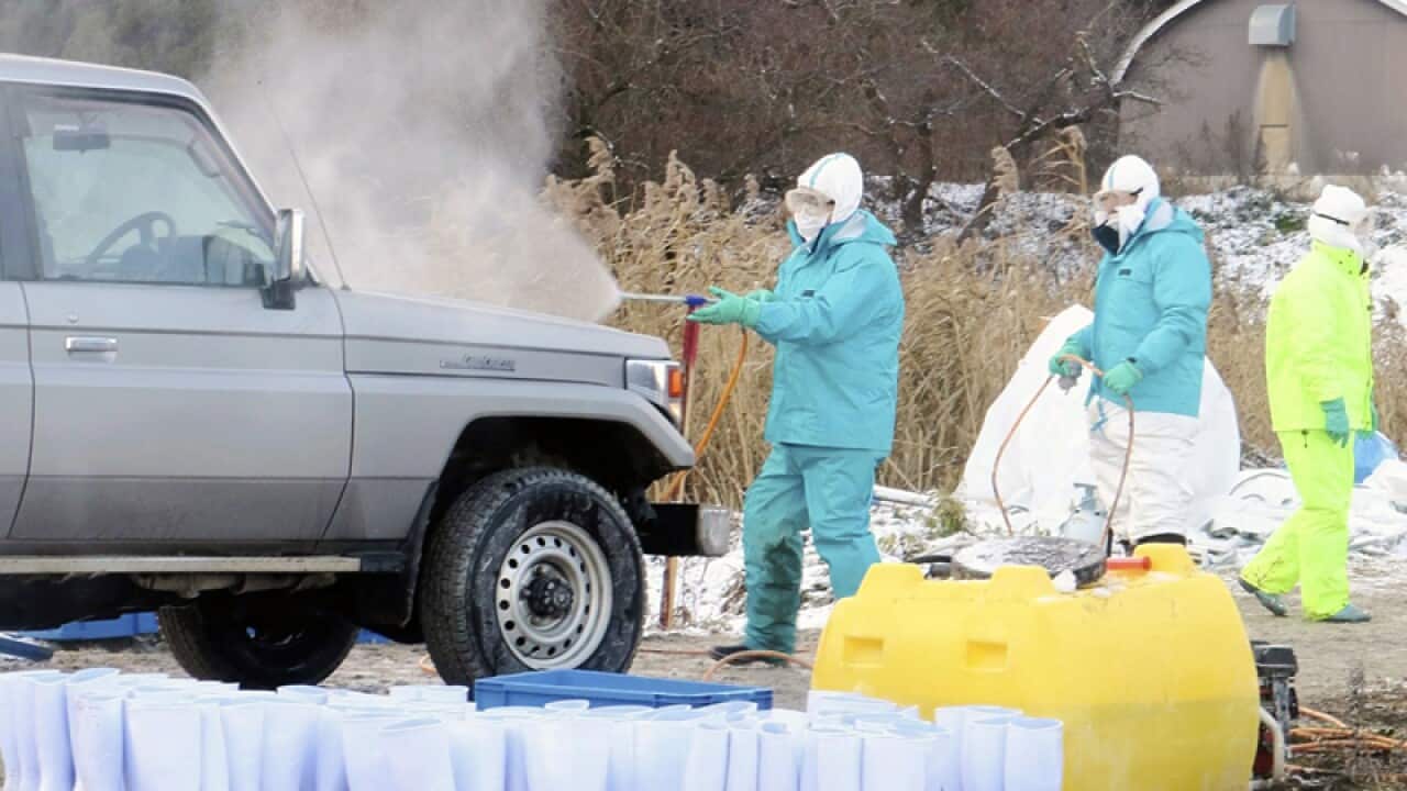 A truck is disinfected at a bird farm in Japan's Aomori Prefecture