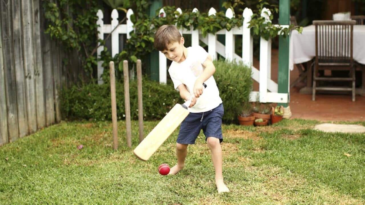 backyard cricket