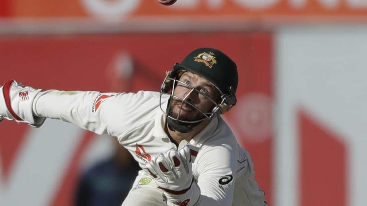 Cricket