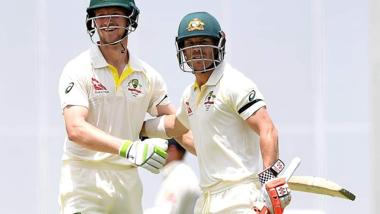 Australian batsmen David Warner (r) and Cameron Bancroft celebrate.