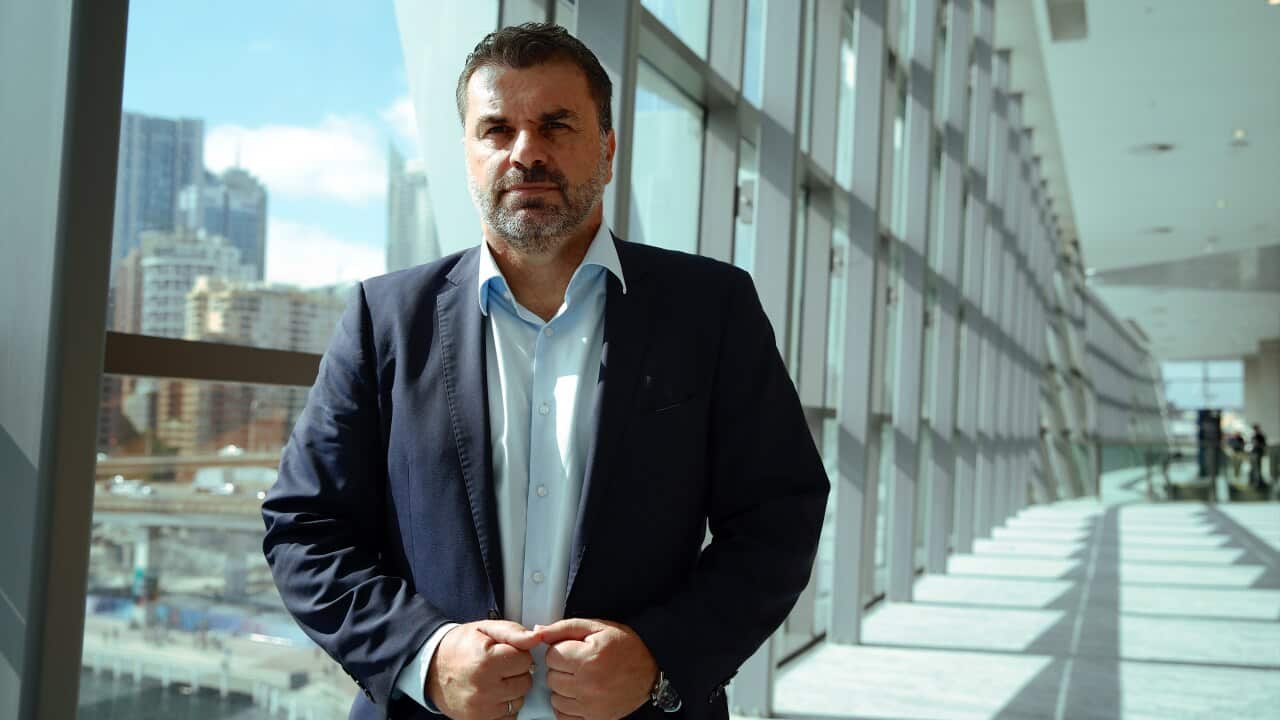 Ange Postecoglou