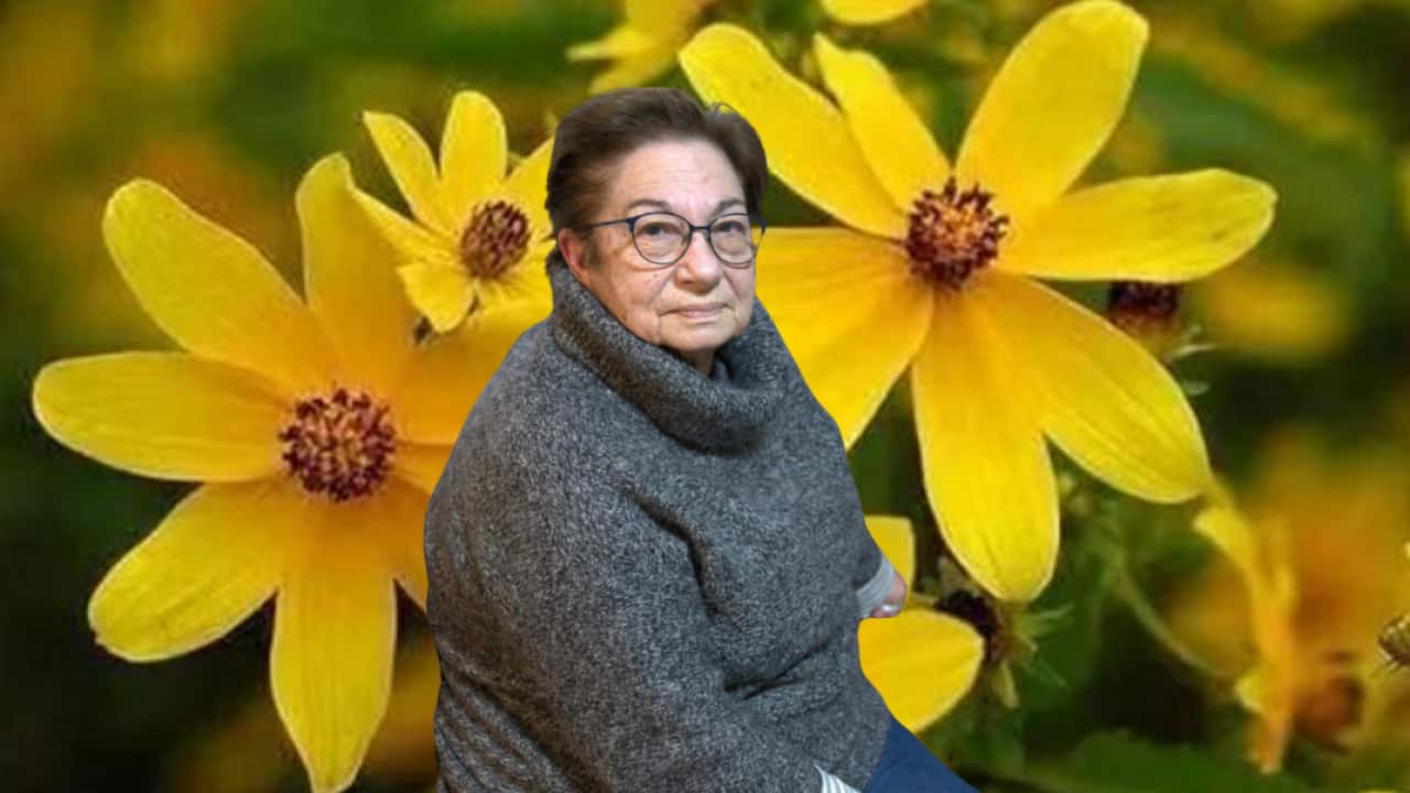 Anni M Atamain.png