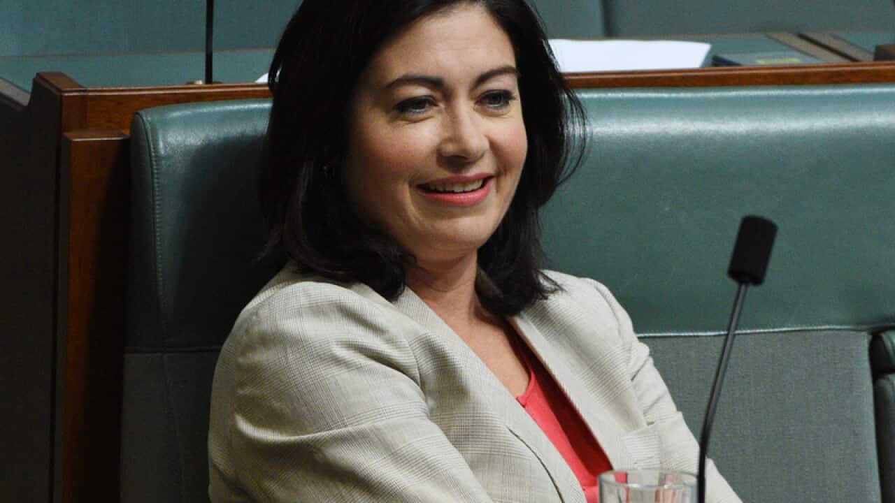 Federal Labor Member for Griffith Terri Butler.