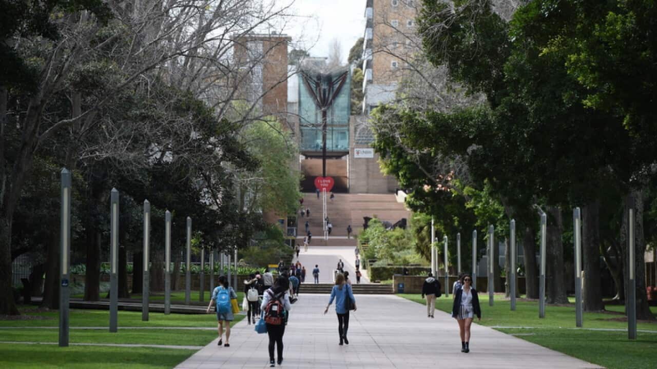 UNSW students(704).jpg