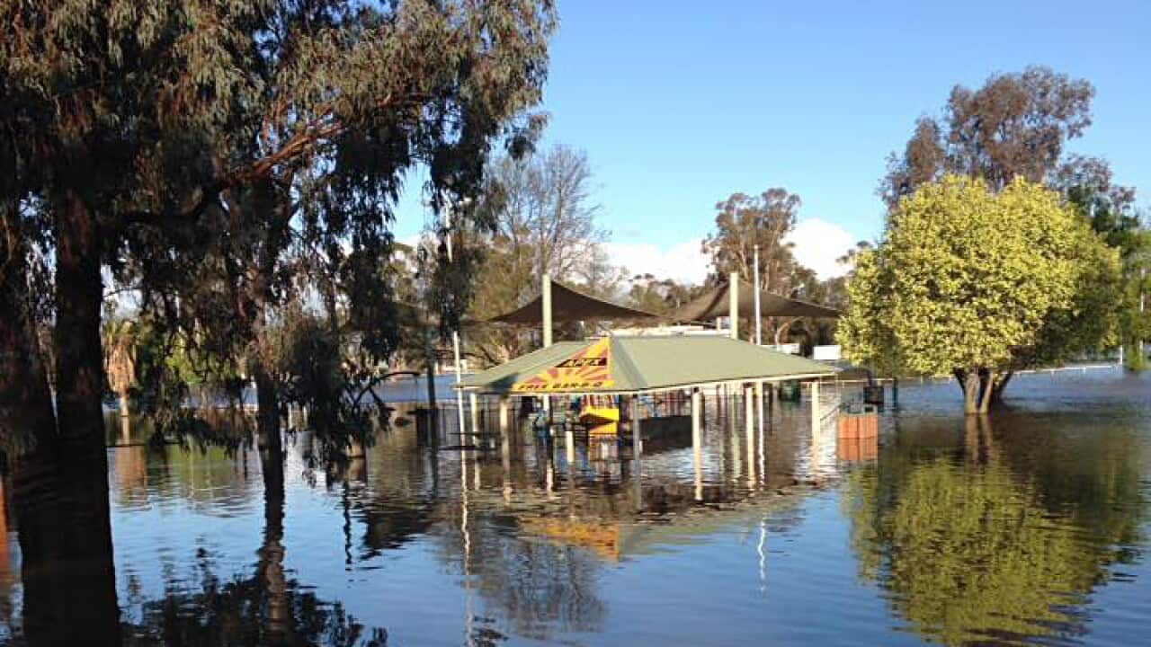 Supplied image of flooding near Lake Forbes, Forbes in in central west NSW, Sunday Sept. 26