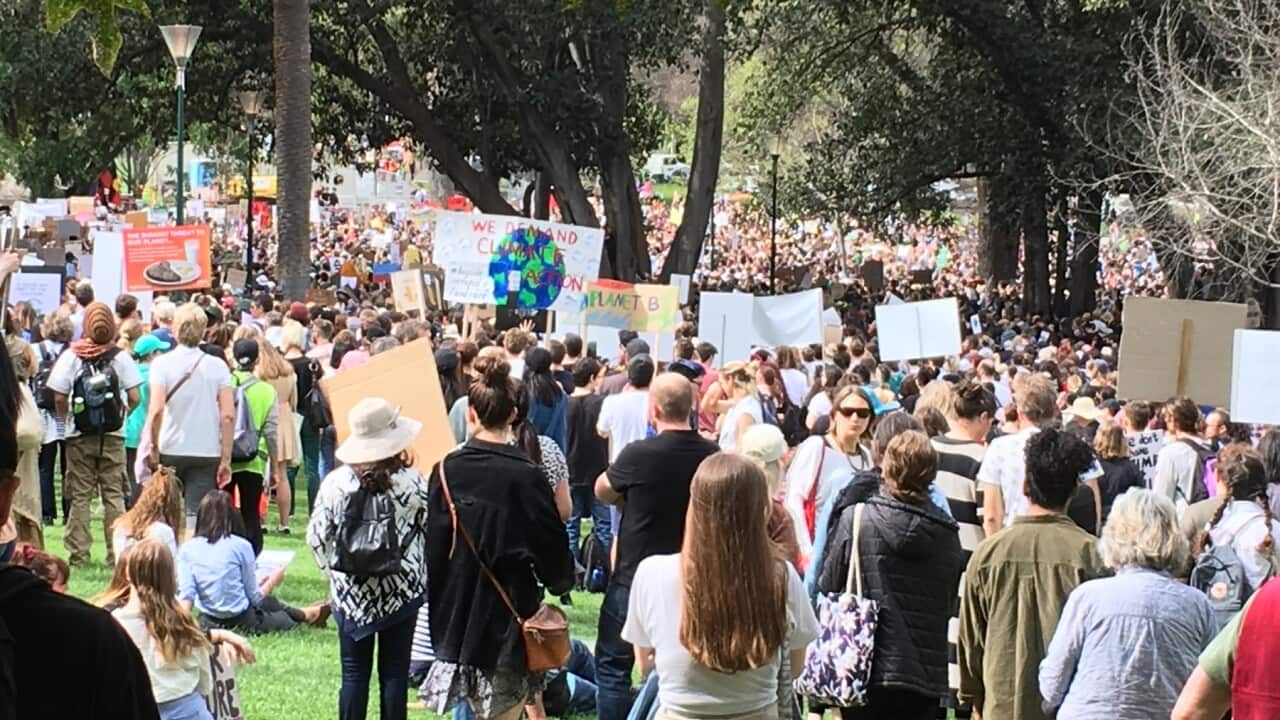 Part of the Climate Strike crowd at Melbourne's Treasury Gardens