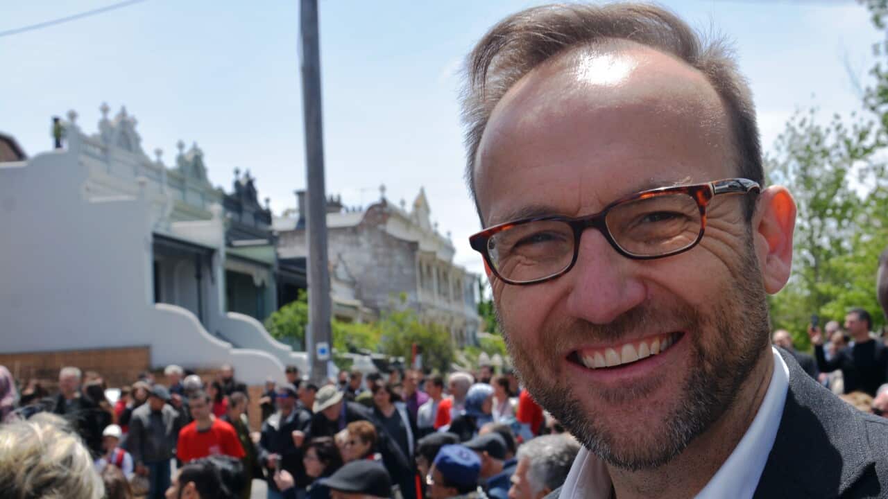 50-te vjetori i Xhamise Shqiptare