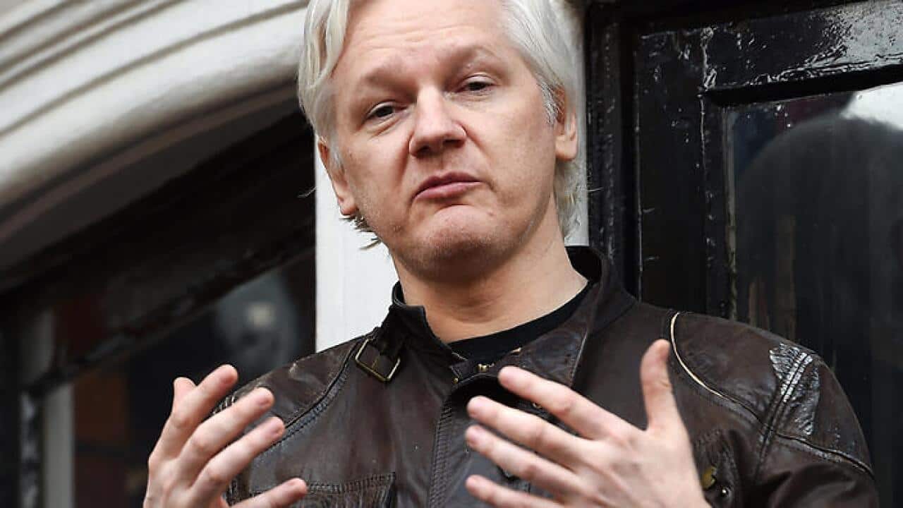 assange