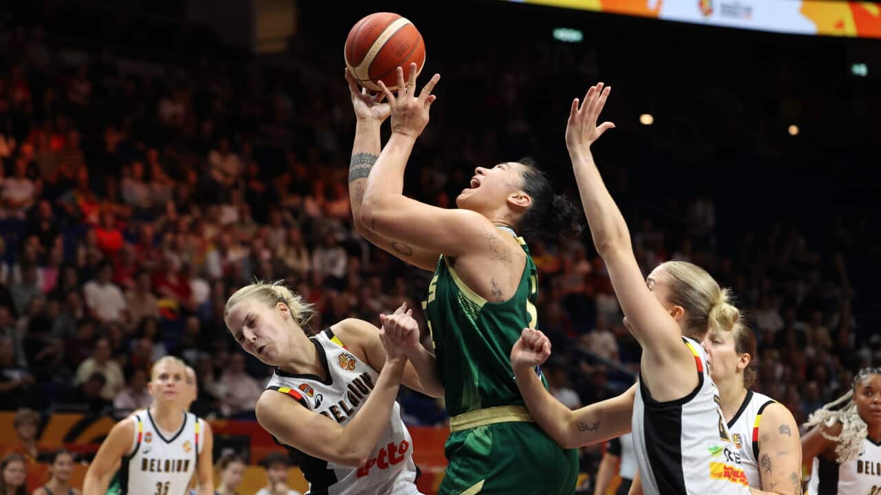 Germany: BASKETBALL WORLD CUP BELGIAN CATS VS AUSTRALIA