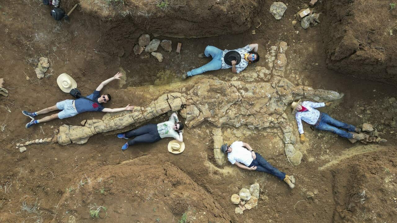 NEW PLESIOSAUR FOSSIL FIND