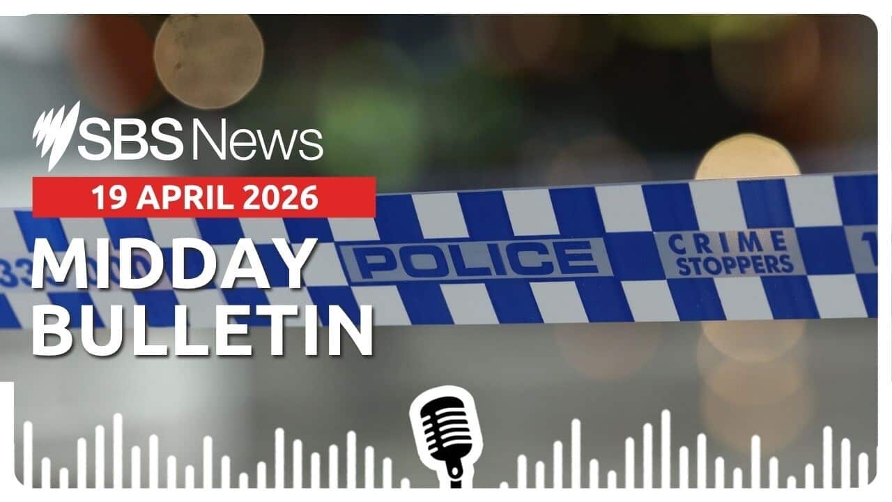 Midday News Bulletin image - 19 April 2026.jpg