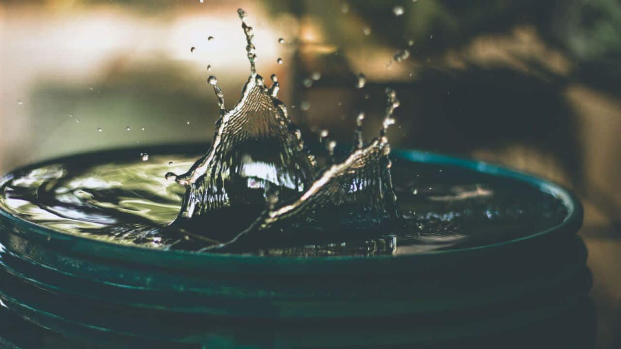 Photo by Amritanshu Sikdar on Unsplash