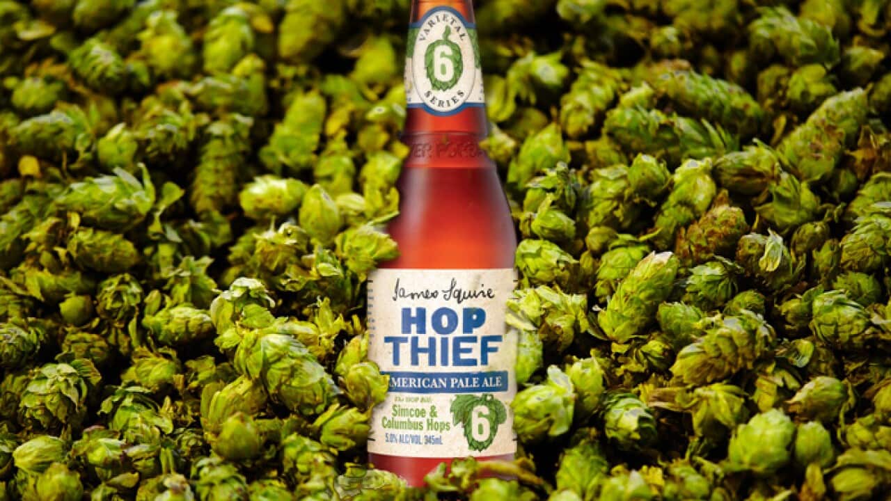 James Squire Hop Thief 6