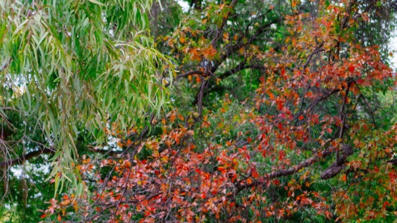 Image for read more article 'READ MORE'