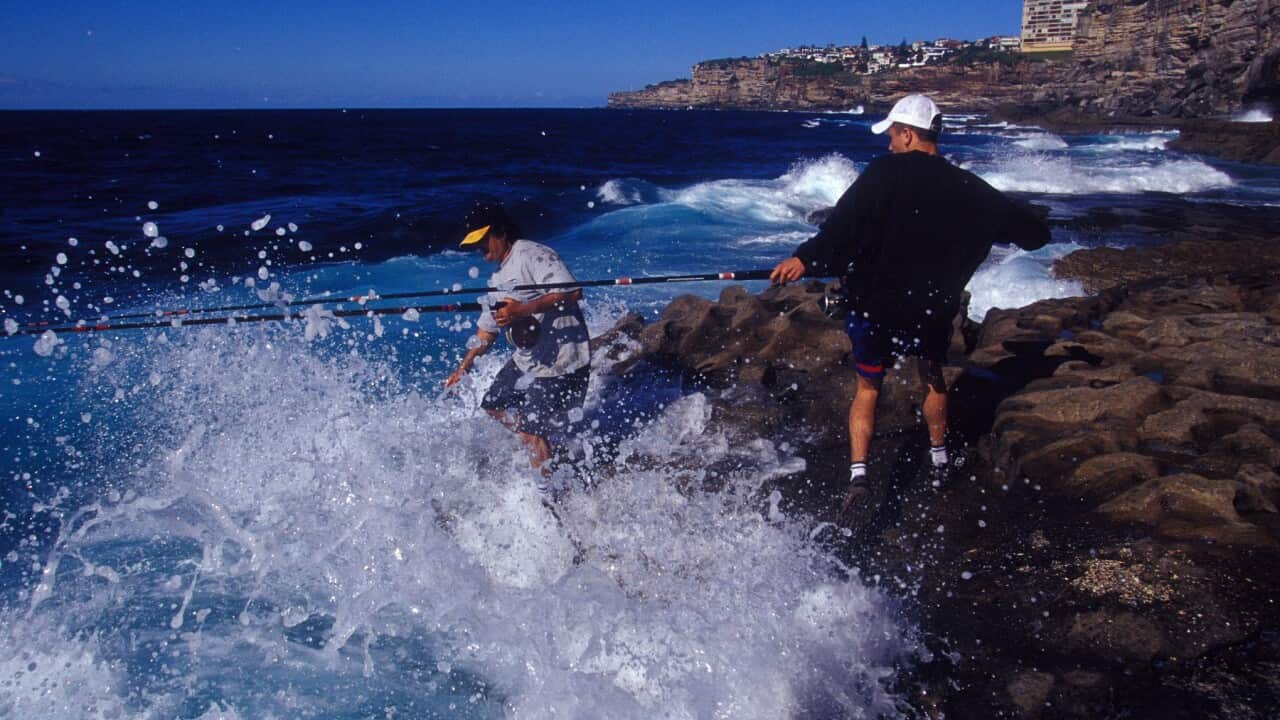ROCK FISHING SYDNEY
