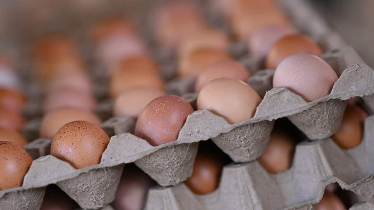 Cartons of eggs