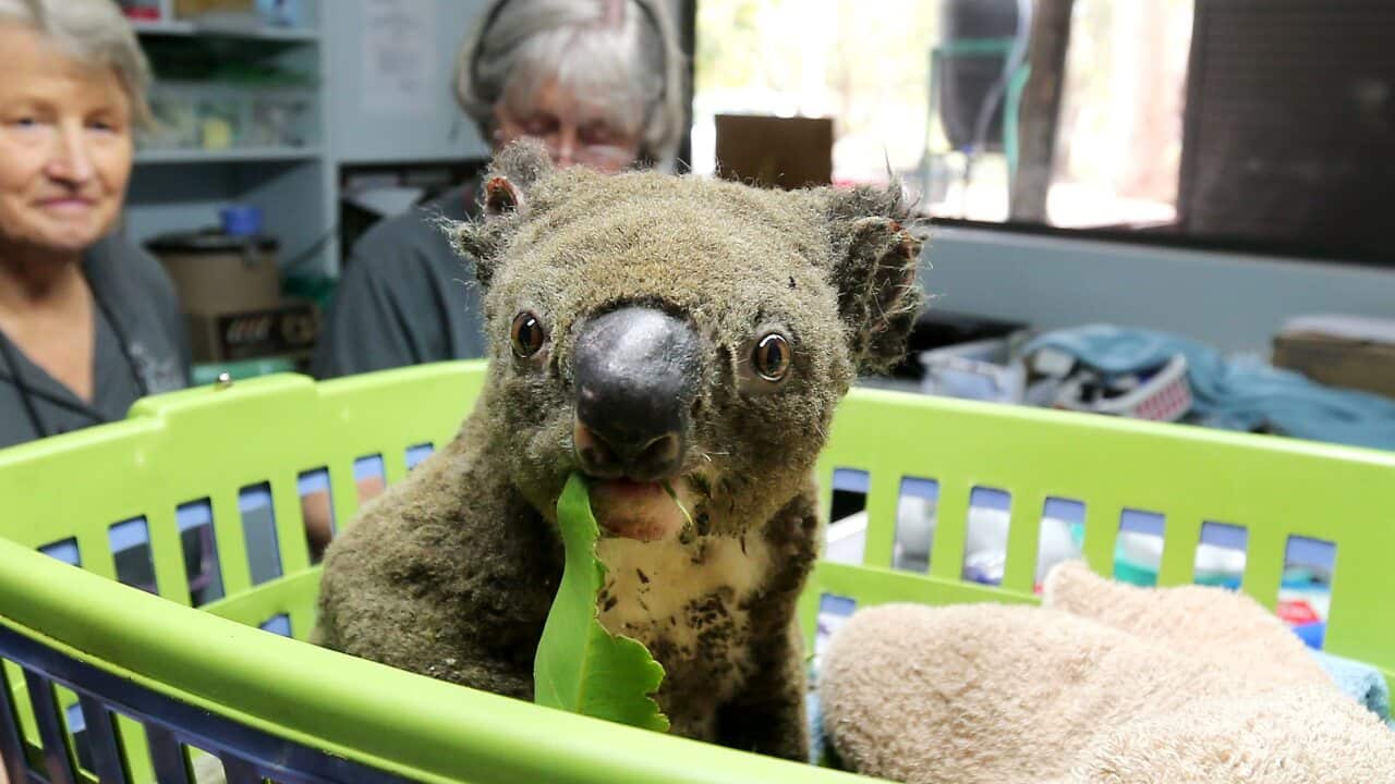 Image for read more article ''