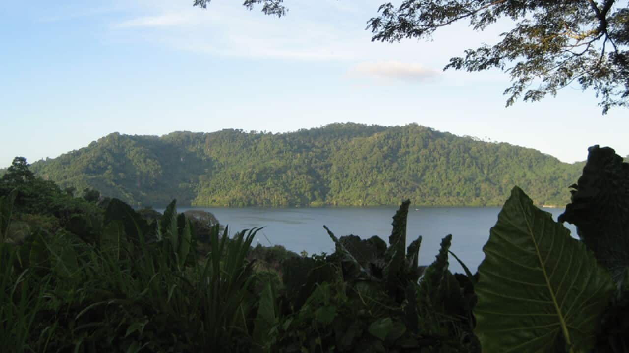 The verdant view from Arawa. (SBS)