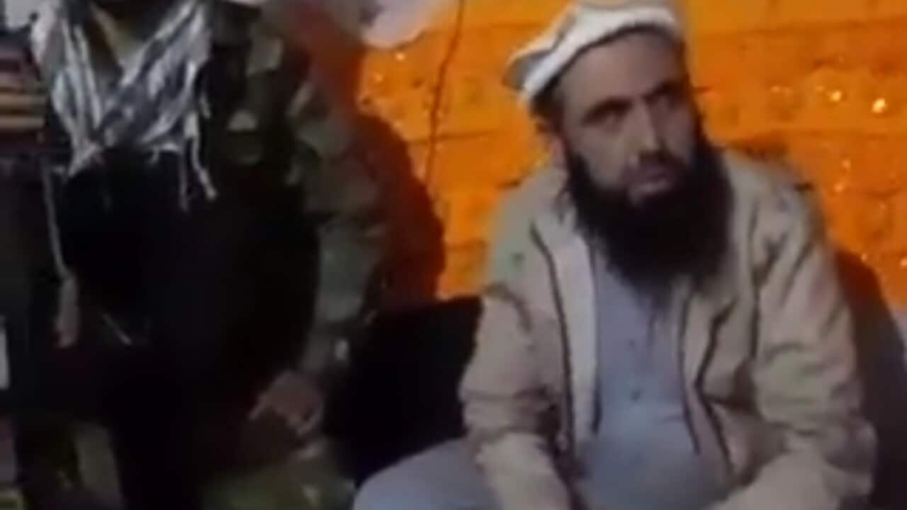 Alleged captured Taliban governer.jpg