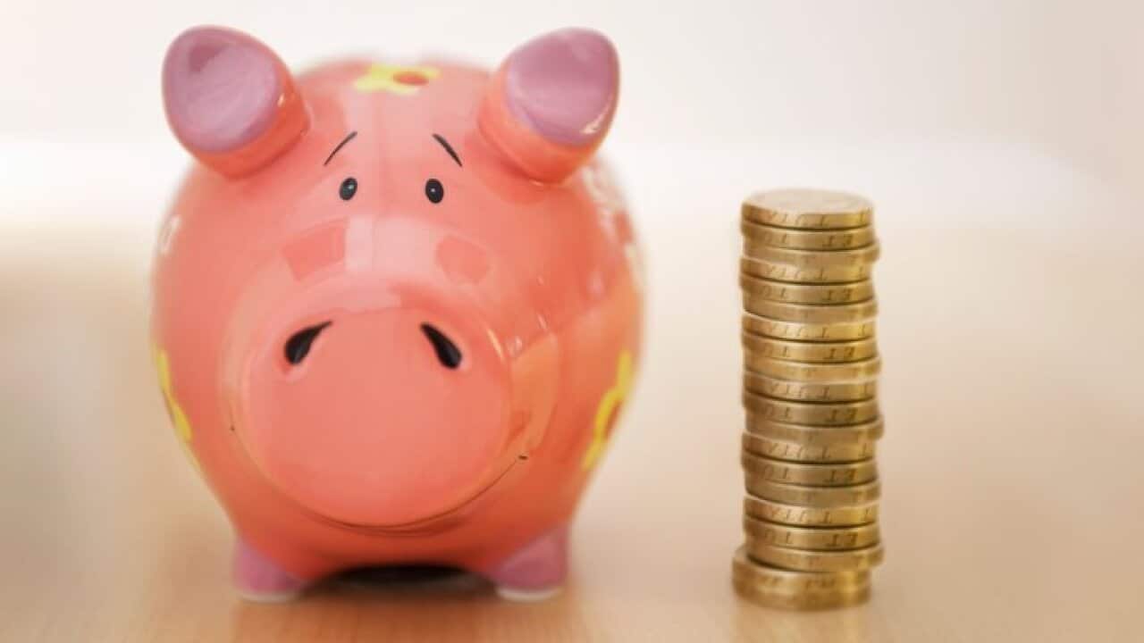 Piggy Bank and Money