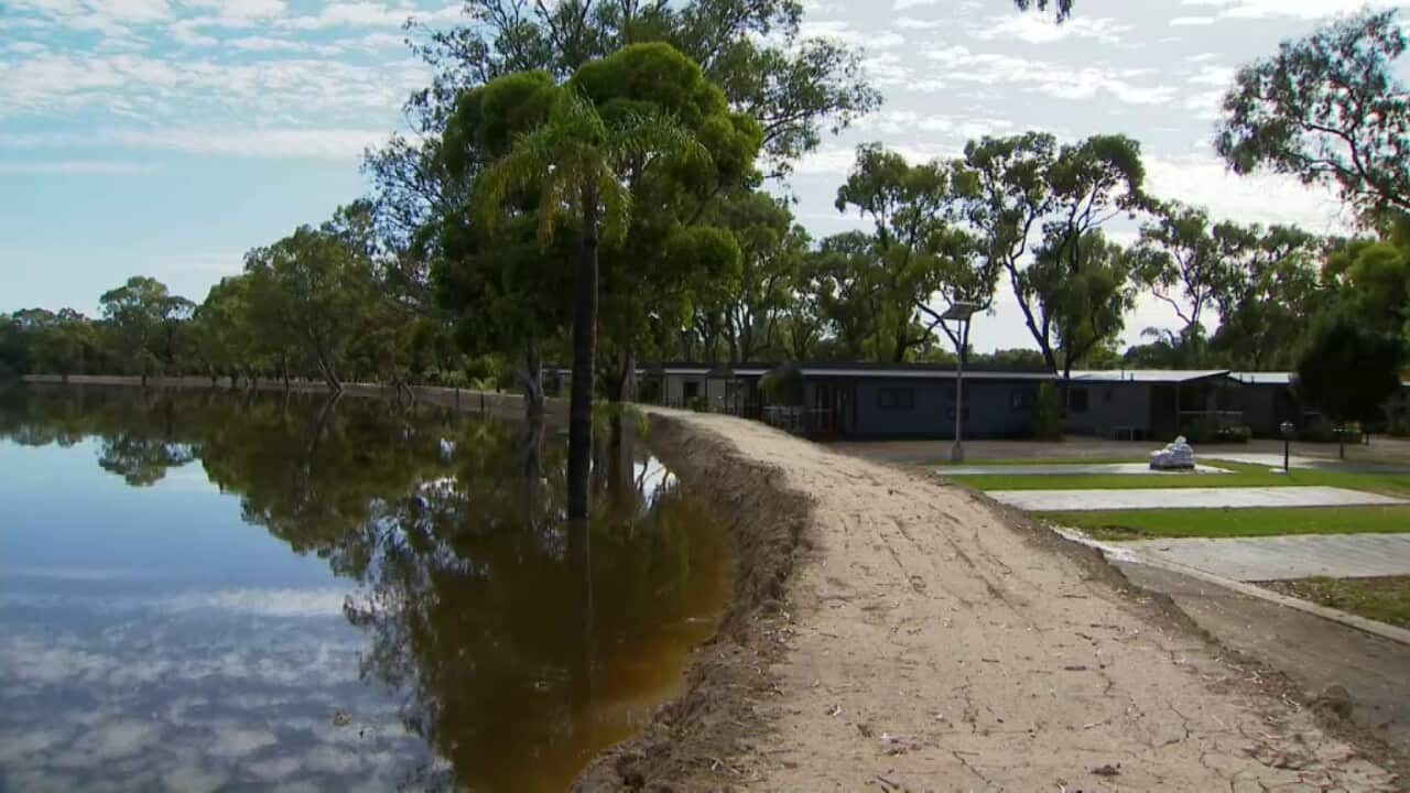 A levee holds the river back from a riverside campsite in South Australia (SBS).jpg