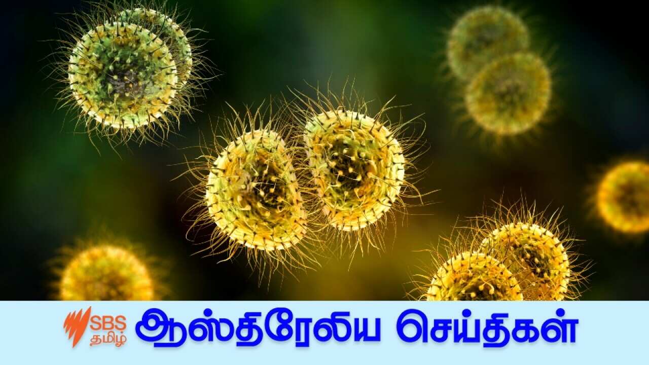 Meningococcal