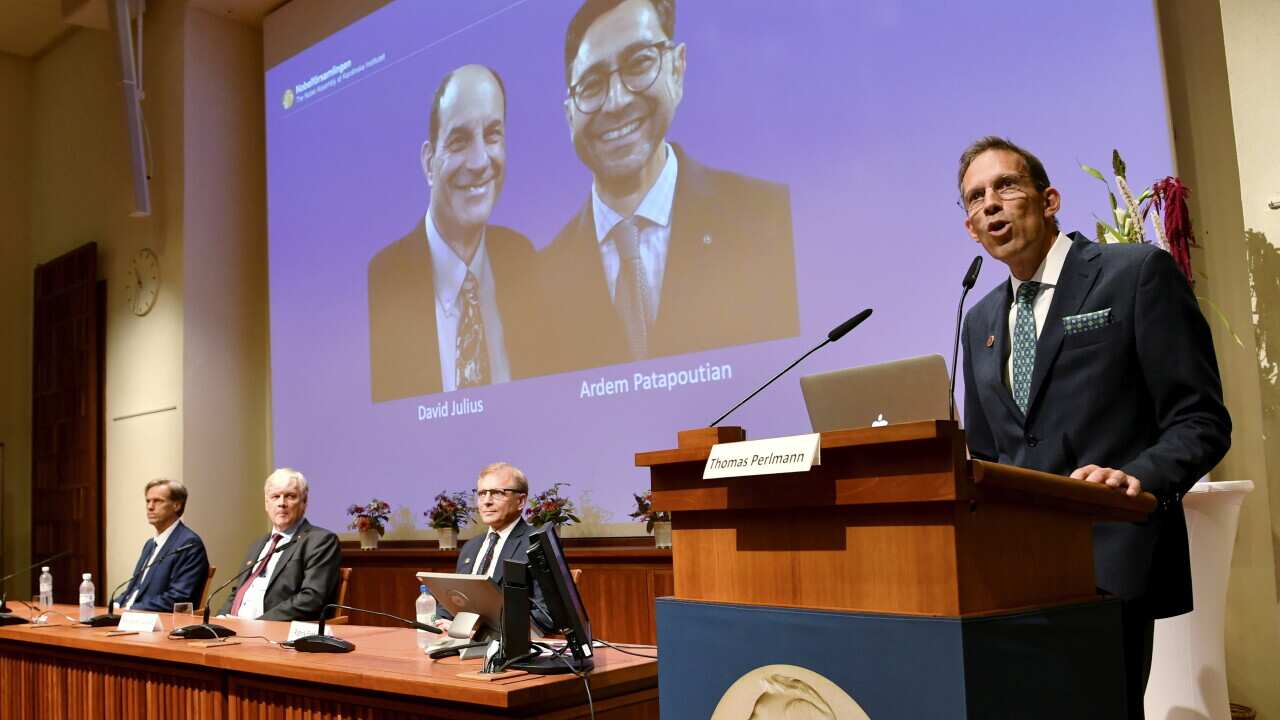Thomas Perlmann, Secretary of the Nobel Assembly and the Nobel Committee announces the winners of the 2021 Nobel Prize in Physiology or Medicine during a press conference at the Karolinska Institute in Stockholm, Sweden, 04 October 2021. The 2021 Nobel Pr