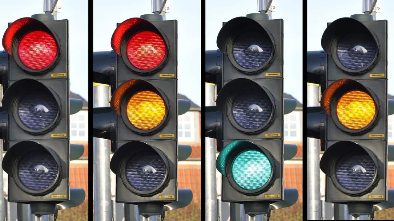 New Zealand is set to introduce a new ‘traffic light’ system of Covid alert levels from 3 December.